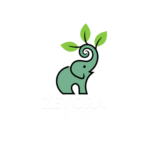 Zeyora Tours