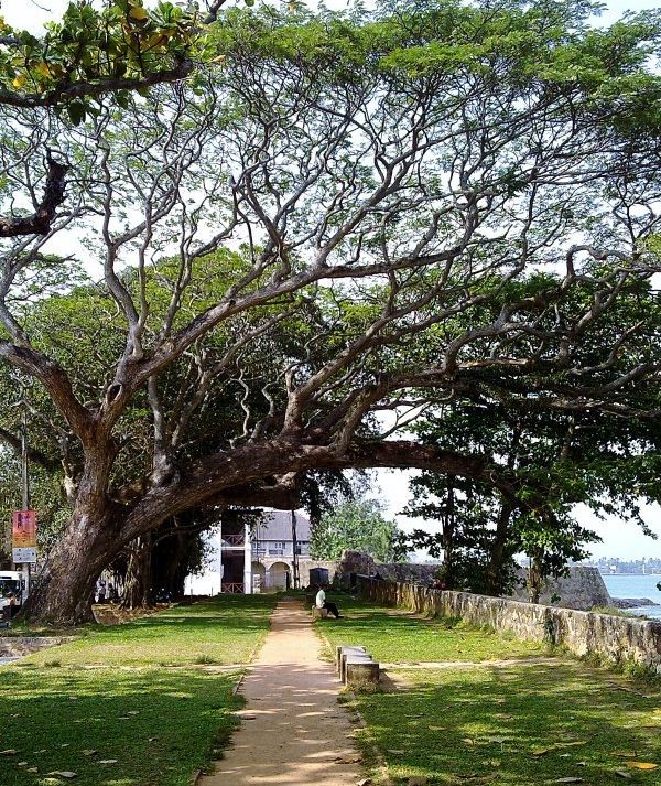 Galle Fort